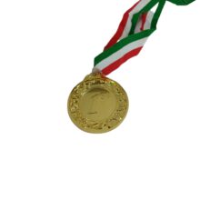مدال قهرمانی طرح همگانی